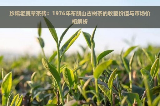 珍稀老班章茶砖：1976年布朗山古树茶的收藏价值与市场价格解析