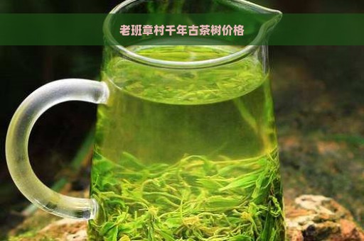 老班章村千年古茶树价格