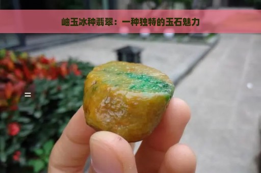 岫玉冰种翡翠：一种独特的玉石魅力