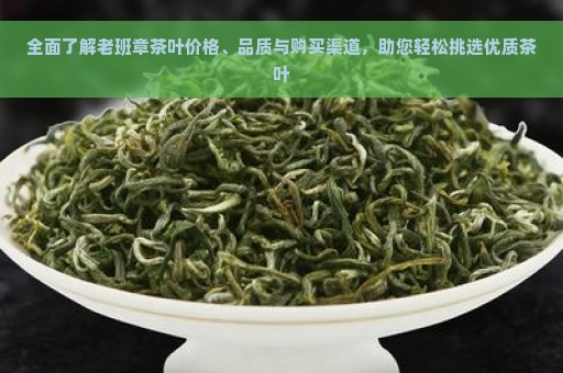 全面了解老班章茶叶价格、品质与购买渠道，助您轻松挑选优质茶叶