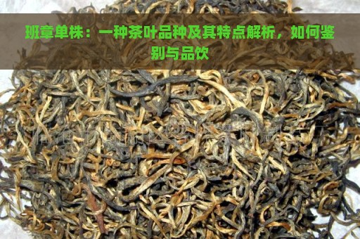 班章单株：一种茶叶品种及其特点解析，如何鉴别与品饮