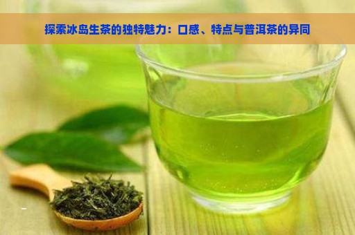 探索冰岛生茶的独特魅力：口感、特点与普洱茶的异同