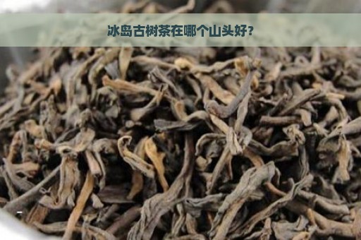 冰岛古树茶在哪个山头好？