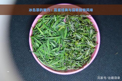 冰岛茶的魅力：品鉴经典与探索独特风味