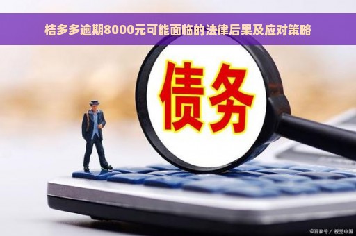 桔多多逾期8000元可能面临的法律后果及应对策略