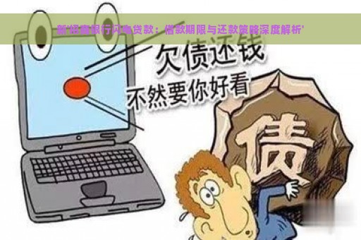 新'招商银行闪电贷款：借款期限与还款策略深度解析'