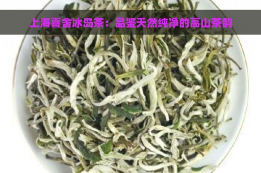 上海喜舍冰岛茶：品鉴天然纯净的高山茶韵
