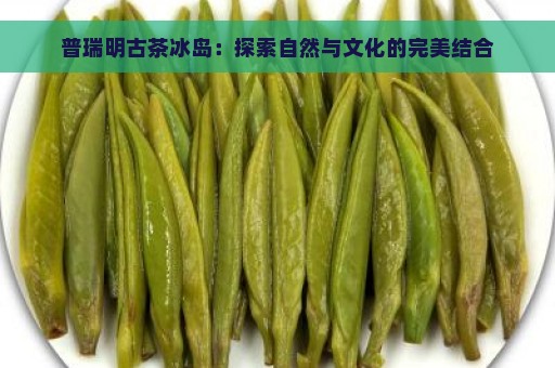 普瑞明古茶冰岛：探索自然与文化的完美结合