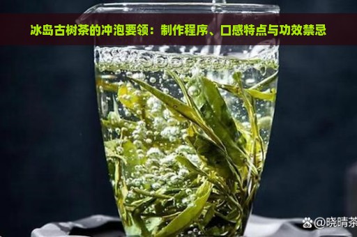 冰岛古树茶的冲泡要领：制作程序、口感特点与功效禁忌