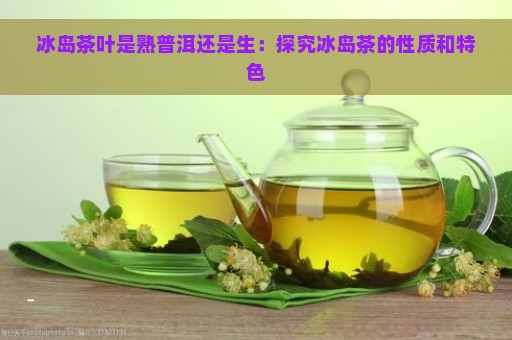 冰岛茶叶是熟普洱还是生：探究冰岛茶的性质和特色