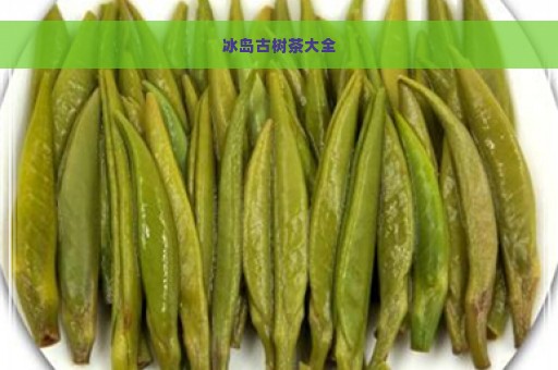 冰岛古树茶大全