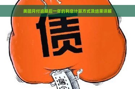 美团月付逾期后一年的利息计算方式及结果详解