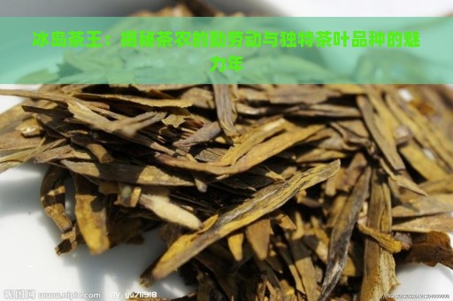 冰岛茶王：揭秘茶农的勤劳动与独特茶叶品种的魅力年
