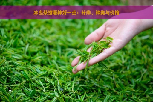 冰岛茶饼哪种好一点：分辨、种类与价格