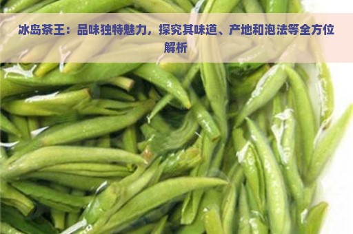 冰岛茶王：品味独特魅力，探究其味道、产地和泡法等全方位解析