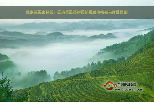 冰岛茶王古树茶：云南普洱茶饼最新批发价格表与详细报价