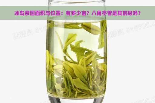 冰岛茶园面积与位置：有多少亩？八角亭曾是其前身吗？