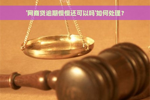 '网商贷逾期慢慢还可以吗'如何处理？