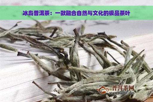 冰岛普洱茶：一款融合自然与文化的极品茶叶