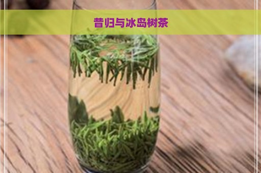 昔归与冰岛树茶