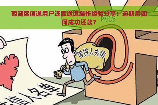 西湖区信通用户还款通道操作经验分享：逾期后如何成功还款？