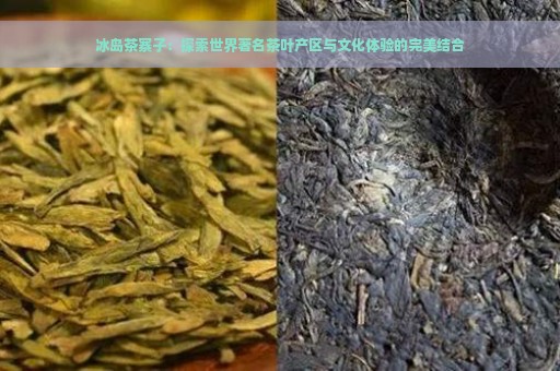 冰岛茶寨子：探索世界著名茶叶产区与文化体验的完美结合