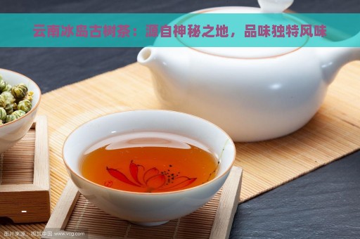 云南冰岛古树茶：源自神秘之地，品味独特风味