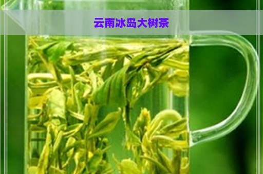 云南冰岛大树茶