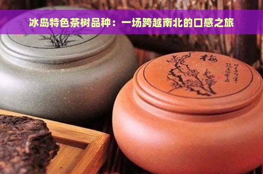 冰岛特色茶树品种：一场跨越南北的口感之旅