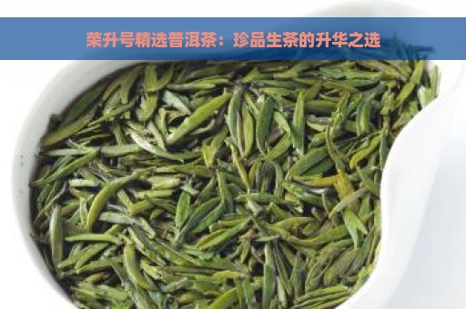 荣升号精选普洱茶：珍品生茶的升华之选