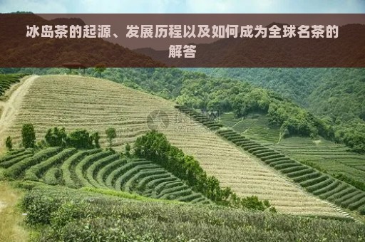 冰岛茶的起源、发展历程以及如何成为全球名茶的解答