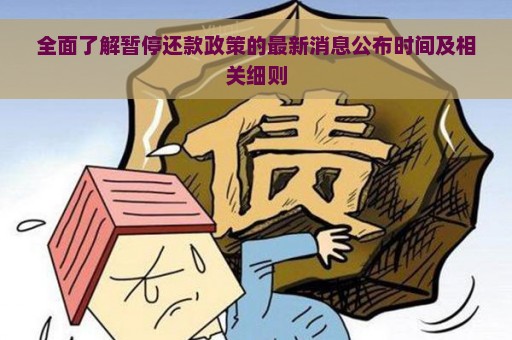 全面了解暂停还款政策的最新消息公布时间及相关细则