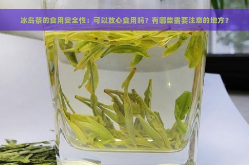 冰岛茶的食用安全性：可以放心食用吗？有哪些需要注意的地方？