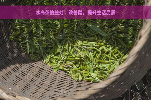 冰岛茶的益处：改善健，提升生活品质