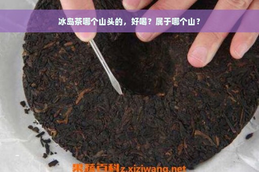 冰岛茶哪个山头的，好喝？属于哪个山？