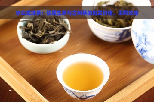 冰岛龙珠茶：优质生茶与古树茶的批发价格，采购攻略
