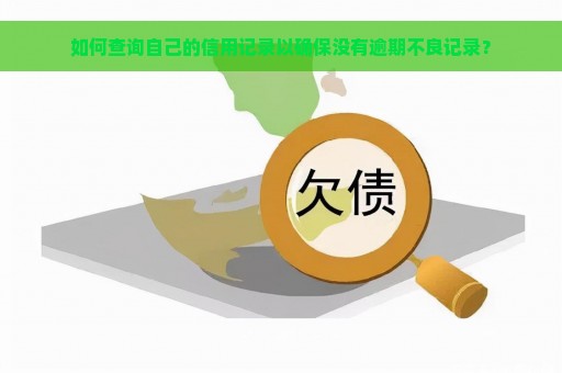 如何查询自己的信用记录以确保没有逾期不良记录？