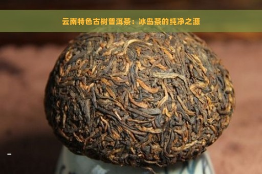 云南特色古树普洱茶：冰岛茶的纯净之源