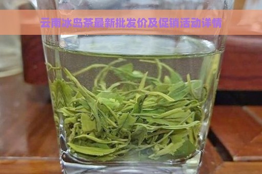 云南冰岛茶最新批发价及促销活动详情