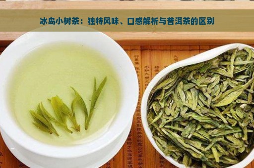 冰岛小树茶：独特风味、口感解析与普洱茶的区别