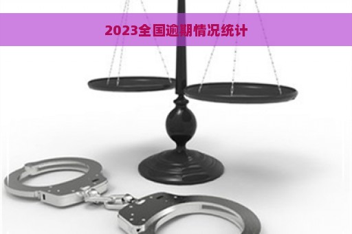 2023全国逾期情况统计