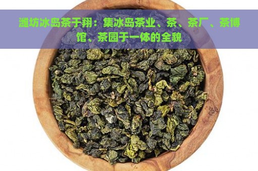 潍坊冰岛茶于翔：集冰岛茶业、茶、茶厂、茶博馆、茶园于一体的全貌