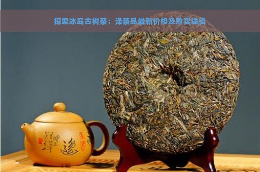 探索冰岛古树茶：泽茶品最新价格及购买途径