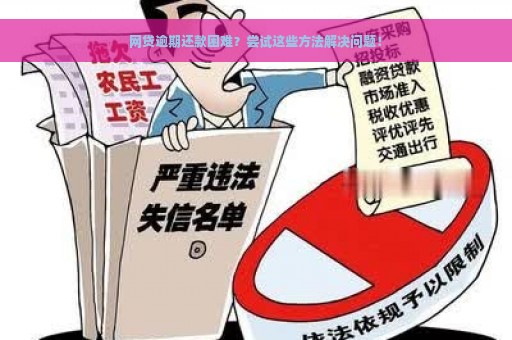 网贷逾期还款困难？尝试这些方法解决问题！