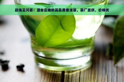 勐海云河茶：源自云南的高品质普洱茶，茶厂直供，价格优