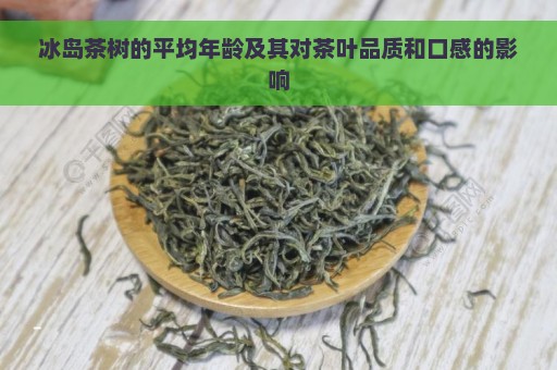 冰岛茶树的平均年龄及其对茶叶品质和口感的影响