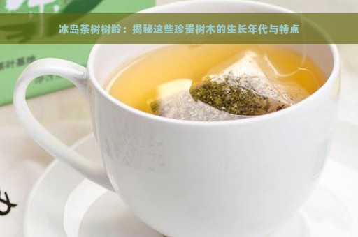 冰岛茶树树龄：揭秘这些珍贵树木的生长年代与特点