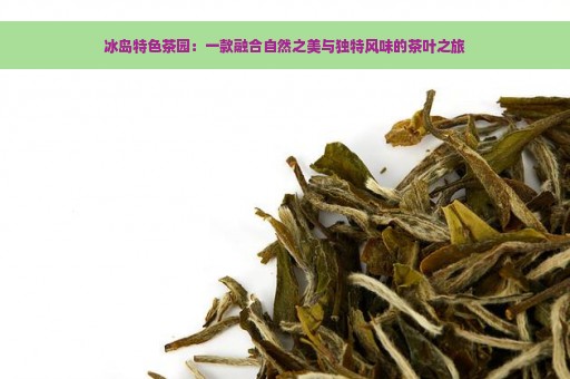 冰岛特色茶园：一款融合自然之美与独特风味的茶叶之旅