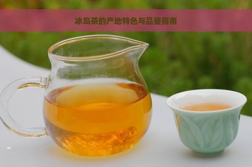 冰岛茶的产地特色与品鉴指南