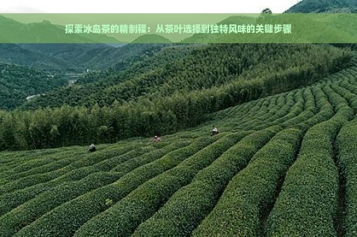 探索冰岛茶的精制程：从茶叶选择到独特风味的关键步骤